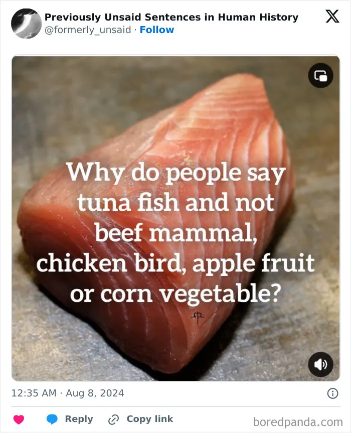 83 Absolutely Unhinged “New” Sentences That Have No Business Being This Funny