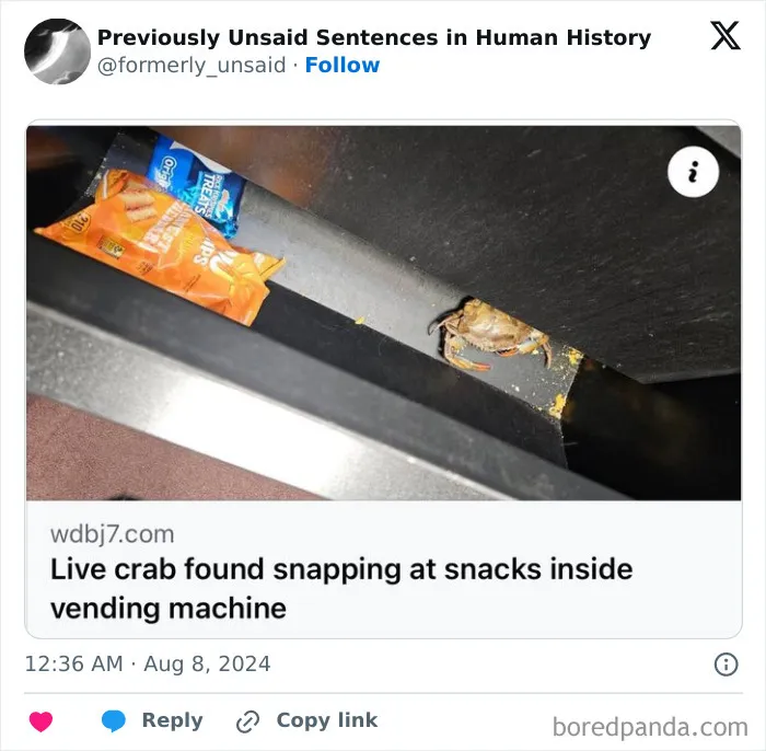 83 Absolutely Unhinged “New” Sentences That Have No Business Being This Funny
