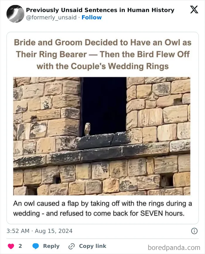 83 Absolutely Unhinged “New” Sentences That Have No Business Being This Funny