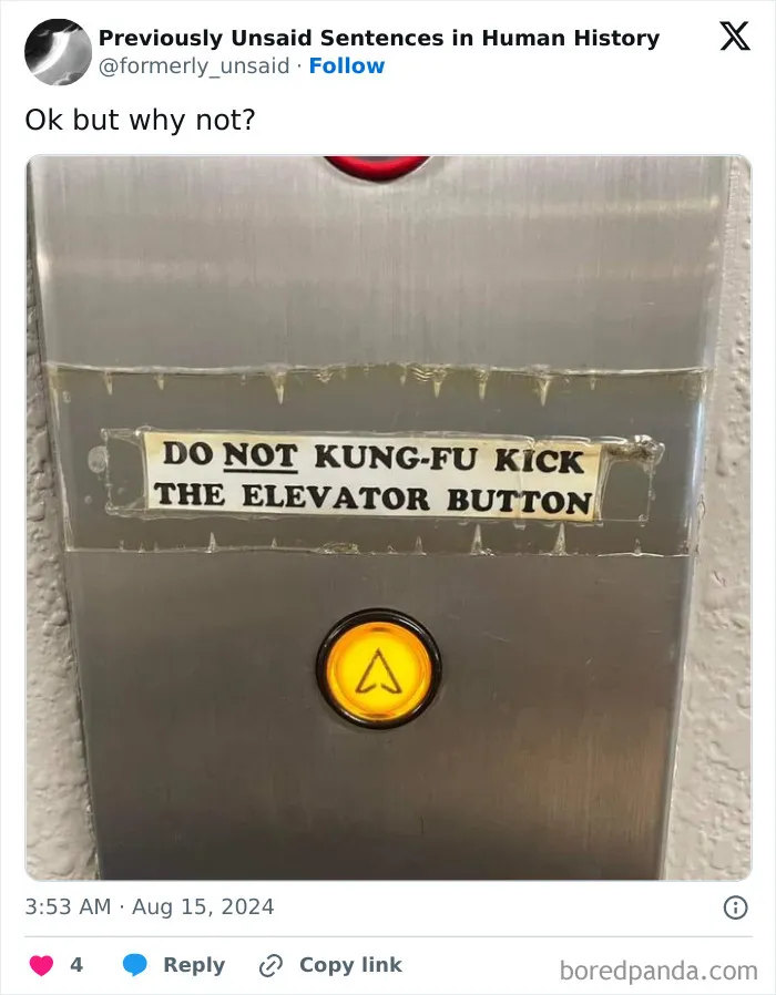 83 Absolutely Unhinged “New” Sentences That Have No Business Being This Funny