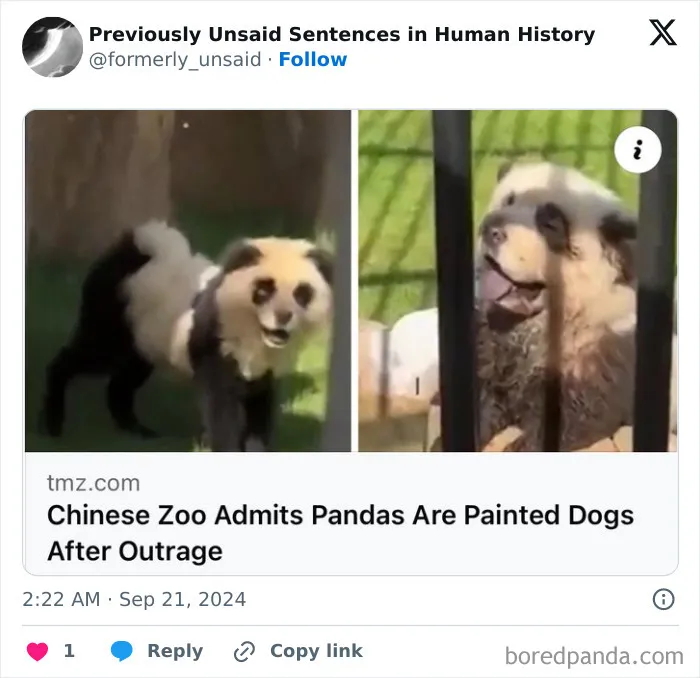 83 Absolutely Unhinged “New” Sentences That Have No Business Being This Funny