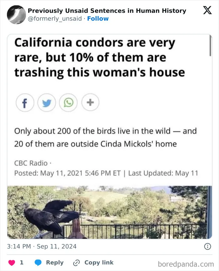 83 Absolutely Unhinged “New” Sentences That Have No Business Being This Funny
