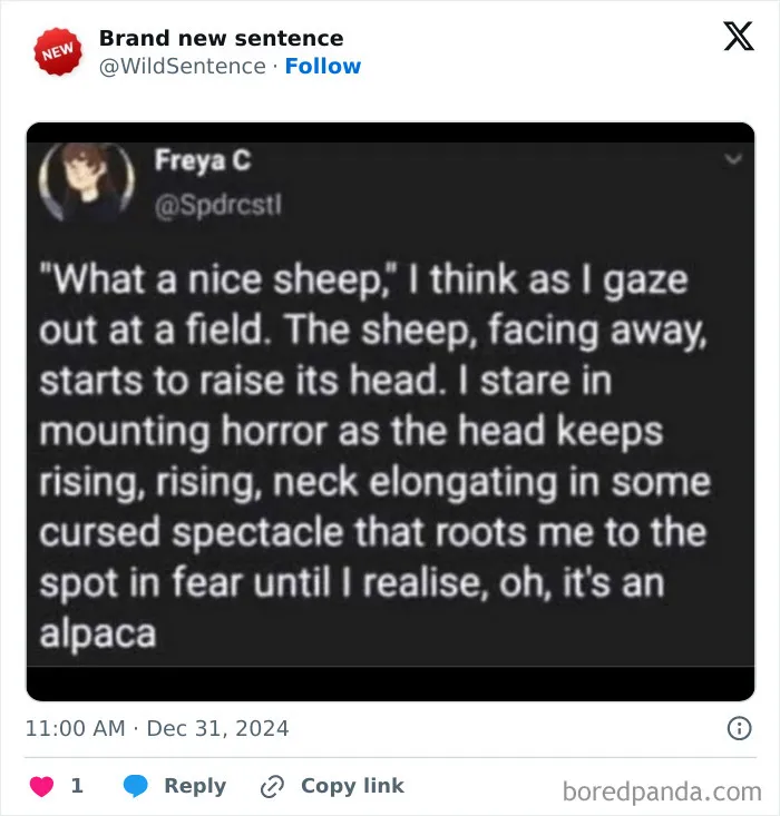 83 Absolutely Unhinged “New” Sentences That Have No Business Being This Funny