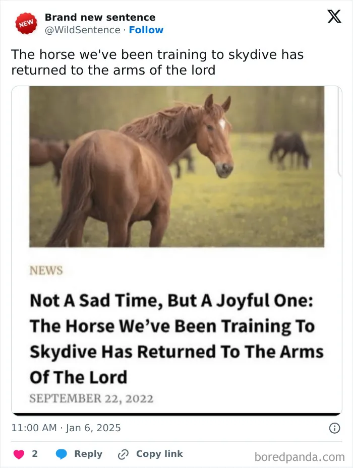 83 Absolutely Unhinged “New” Sentences That Have No Business Being This Funny