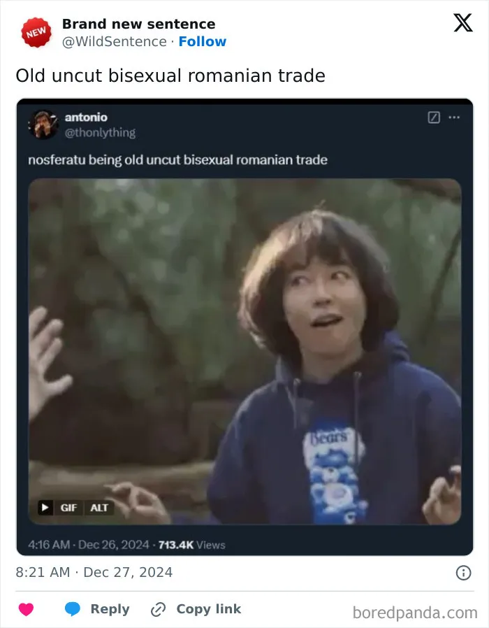 83 Absolutely Unhinged “New” Sentences That Have No Business Being This Funny