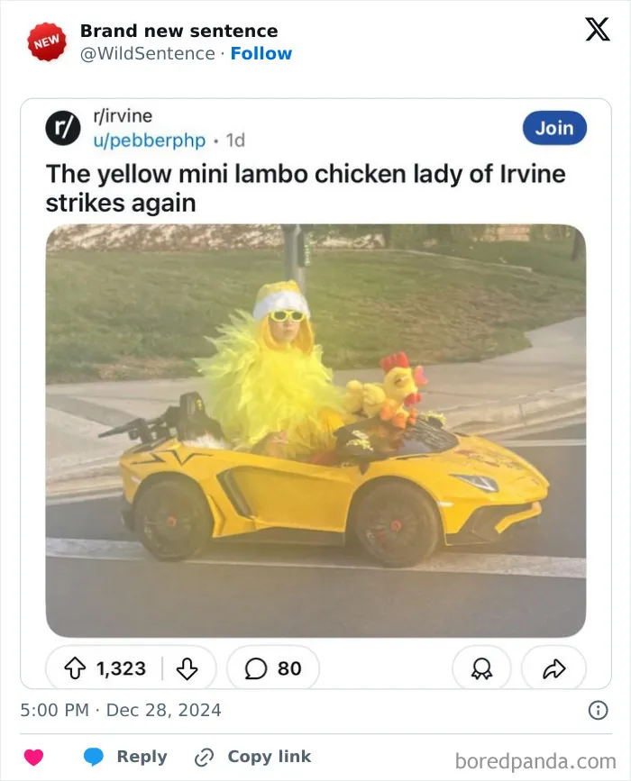 83 Absolutely Unhinged “New” Sentences That Have No Business Being This Funny