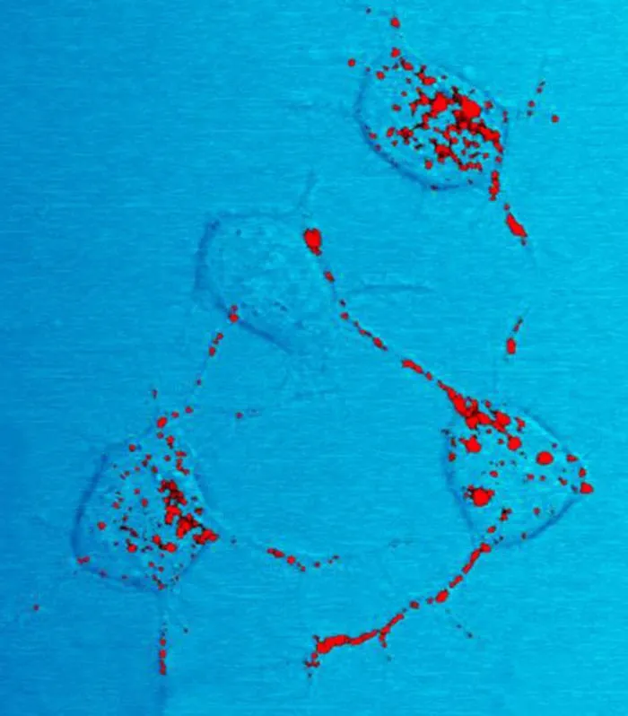 37 Doctors Share Which Diseases Should Scare People More Than They Do