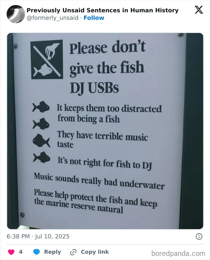 83 Absolutely Unhinged “New” Sentences That Have No Business Being This Funny
