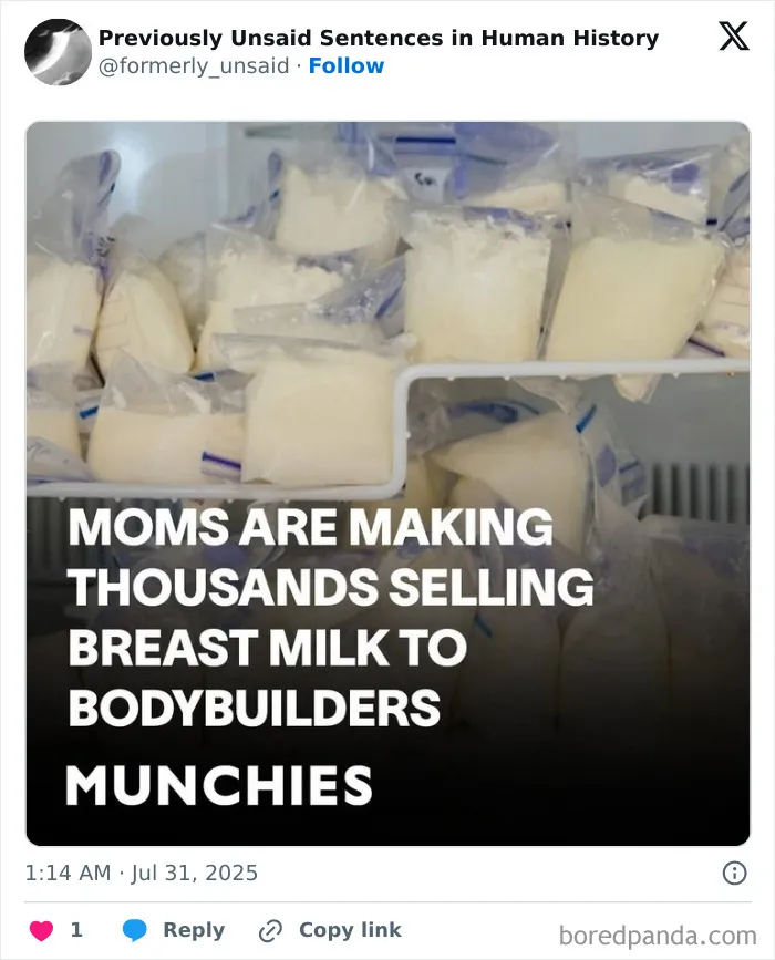 83 Absolutely Unhinged “New” Sentences That Have No Business Being This Funny