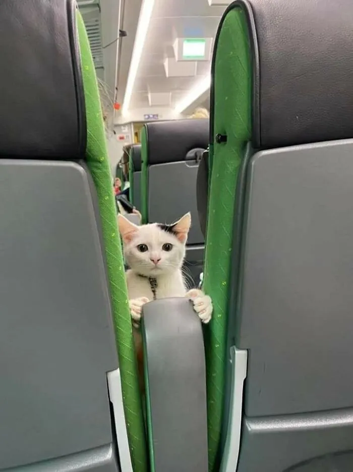 113 Wholesome Photos That May Make You Forget About The Toxicity Of Social Media (New Pics)