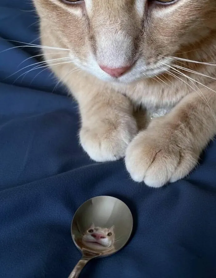 113 Wholesome Photos That May Make You Forget About The Toxicity Of Social Media (New Pics)