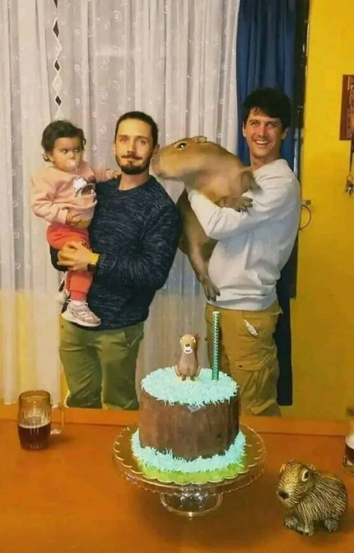 113 Wholesome Photos That May Make You Forget About The Toxicity Of Social Media (New Pics)