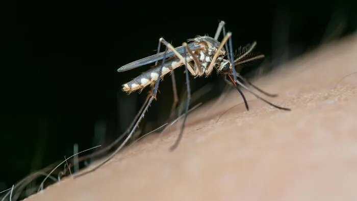 For me, the best way to get rid of the itch from a bug bite is pressing an “x” into it with my fingernail. I used to think that I was the only one who did this!