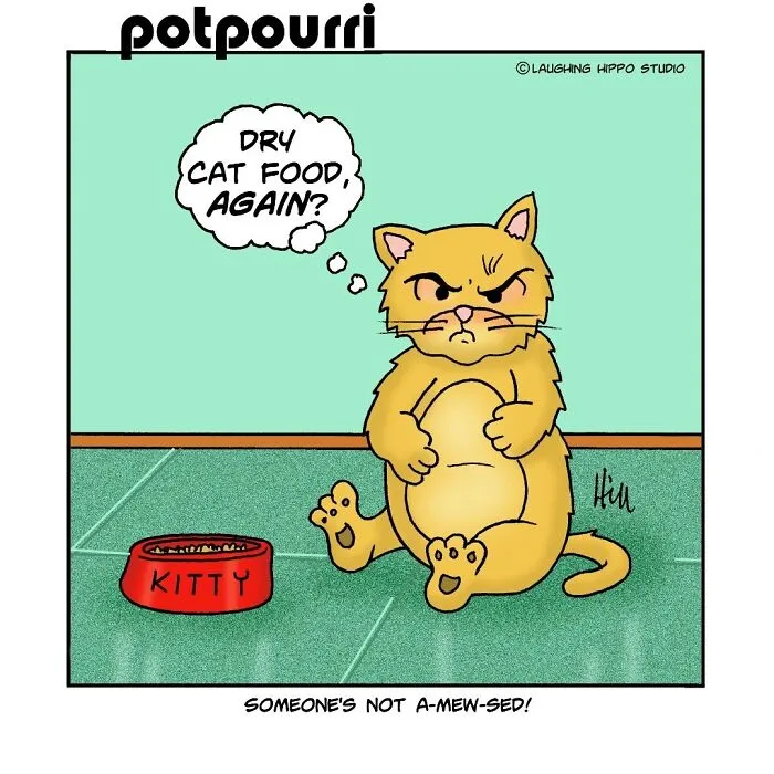 28 One-Panel Comics That Anyone Who Has Ever Been Judged By A Cat Will Instantly Relate To