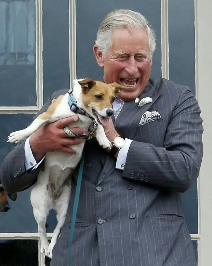 Thou Shalt Not Court The King’s Corgi