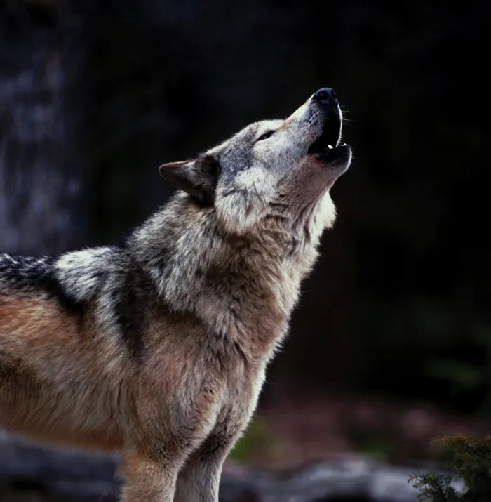 45 Unsettling Trips Into Nature When People Wanted To Leave Immediately