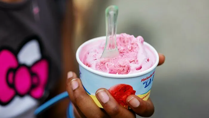 Most nights after dinner, I have a small scoop of ice cream. My brother, his wife, and their daughter are staying with me for a few weeks, and I’m happy to have them over, but my niece noticed me having ice cream quite often and asked why she couldn’t have any. Apparently, they taught her that ice cream is a “sometimes food”. Since then, my SIL has been asking me to stop eating ice cream after dinner, acting more and more annoyed with me, but I told her that I’m not going to stop. It’s my little treat, and I’m not responsible for my niece’s relationship with food. She has wine most nights, but doesn’t see any problem with her daughter seeing that.