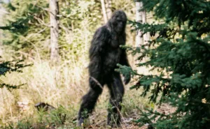 20 Weird Animal Laws That Might Have Gone A Little Too Far