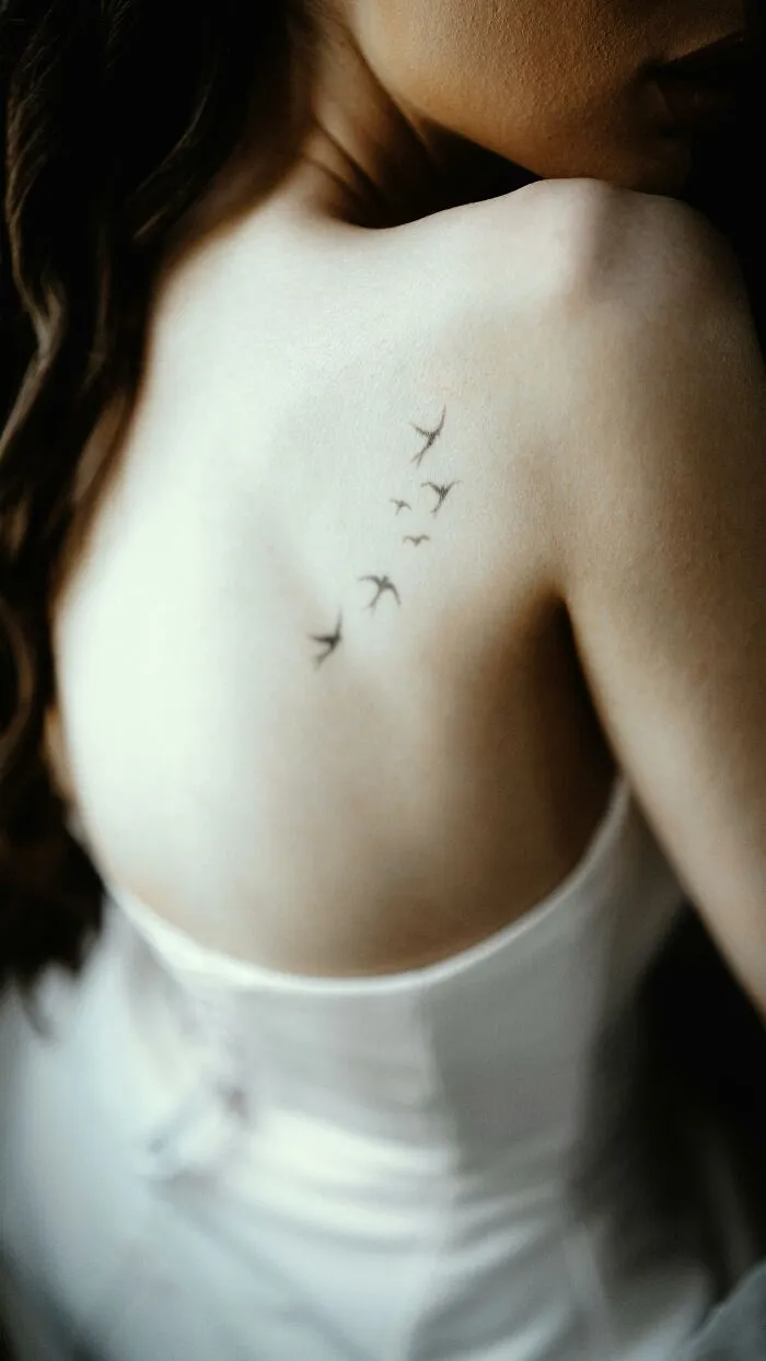Birds
