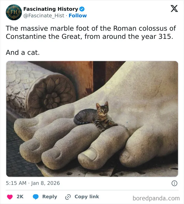 This Group Is Dedicated To Interesting Historical Items, Here Are The 77 Best Ones