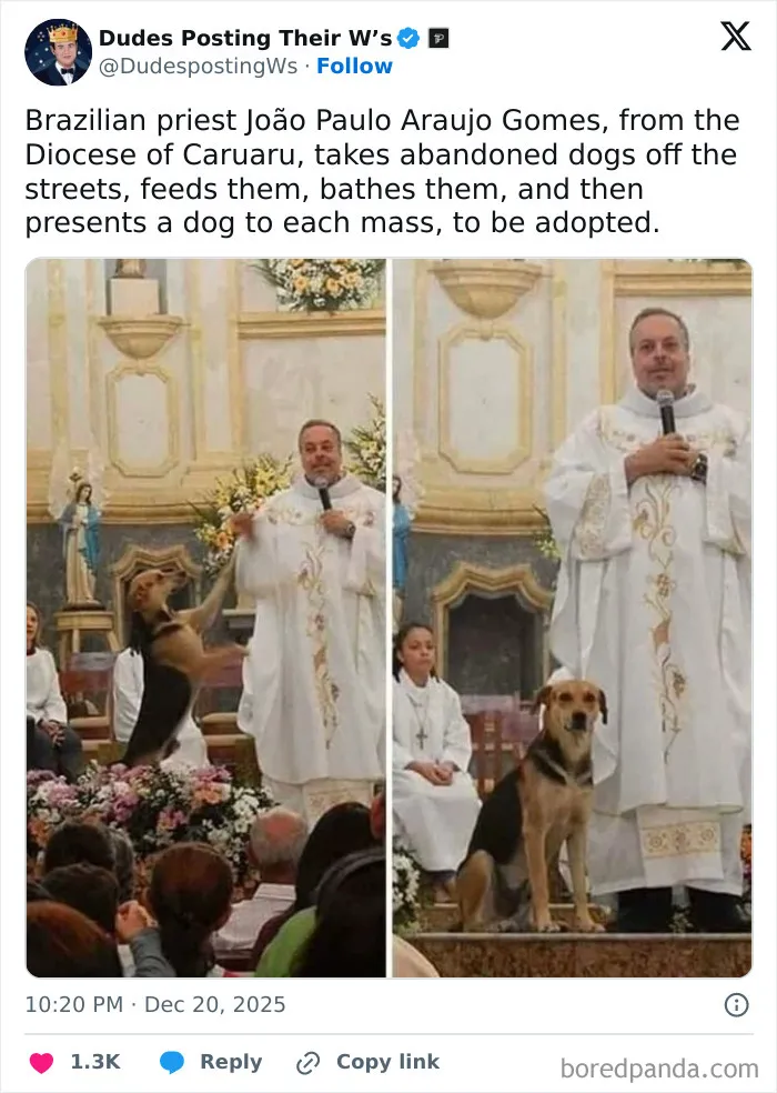 71 Times Dudes Were Absolute Green Flags In The Most Wholesome Way (New Pics)