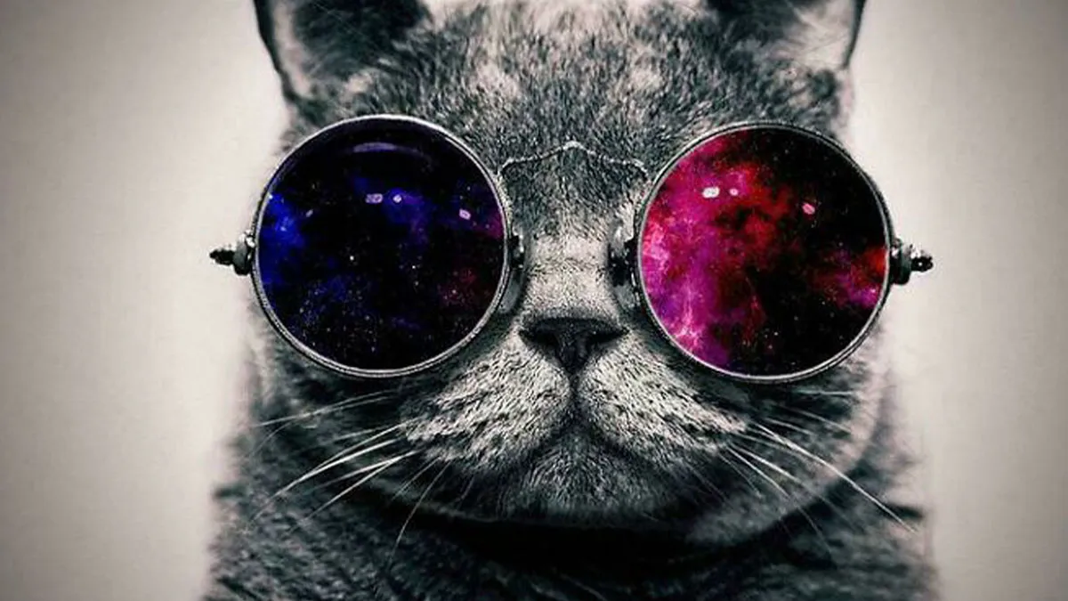 “Back When Everything Was Better”: 63 Posts To Remind You Good We Had It In The 2010s