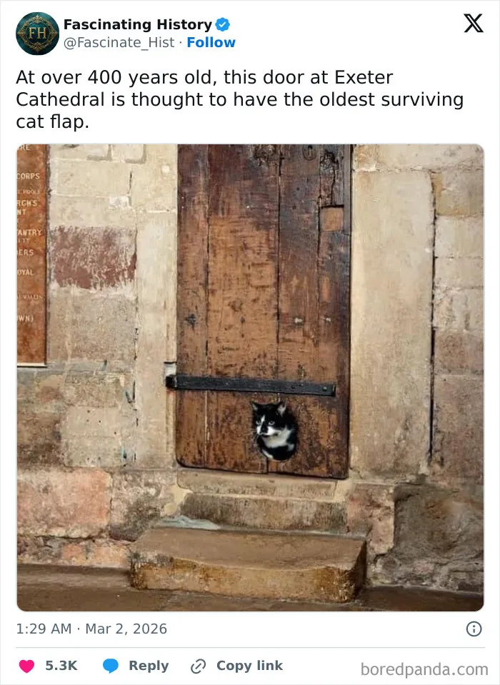 This Group Is Dedicated To Interesting Historical Items, Here Are The 77 Best Ones