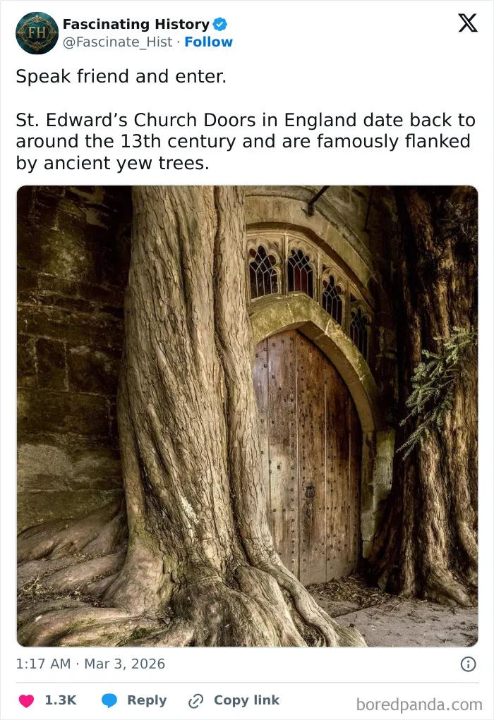This Group Is Dedicated To Interesting Historical Items, Here Are The 77 Best Ones