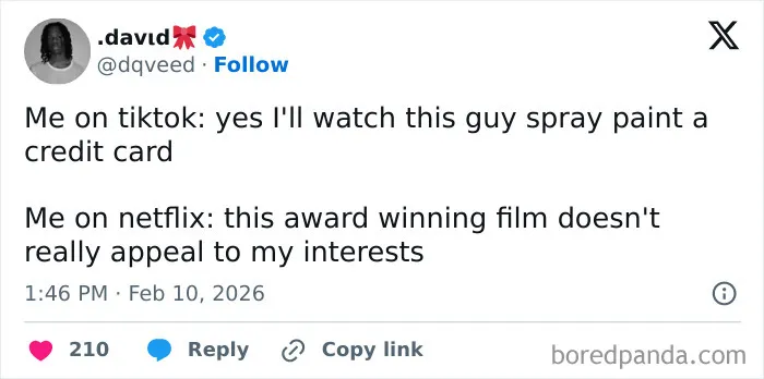 Screenshot of a wild social media post humorously contrasting TikTok and Netflix preferences, highlighting unhinged content trends.