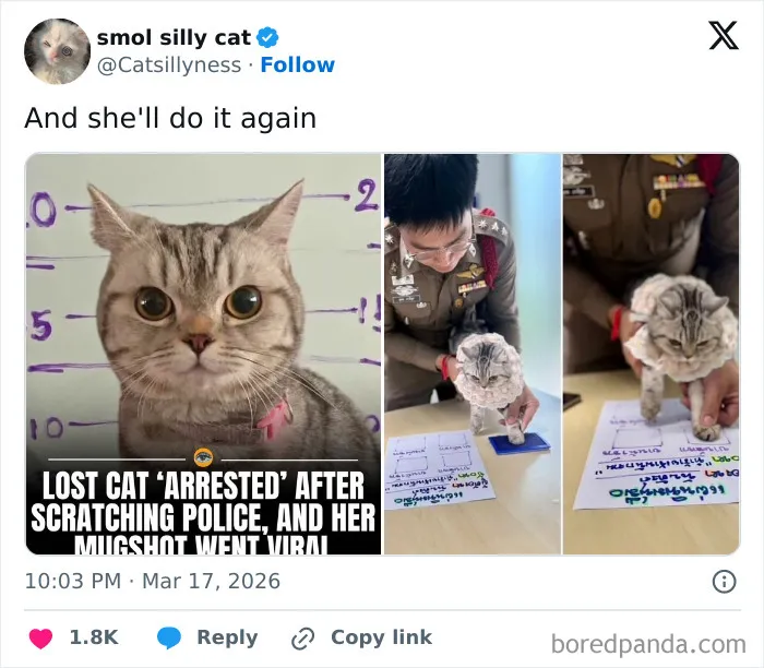 83 Funniest Tweets People Posted This March