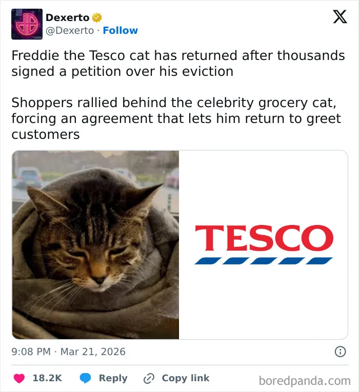 83 Funniest Tweets People Posted This March