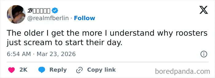 Screenshot of a funny tweet about roosters, part of viral tweets that had the internet laughing all March in the US.