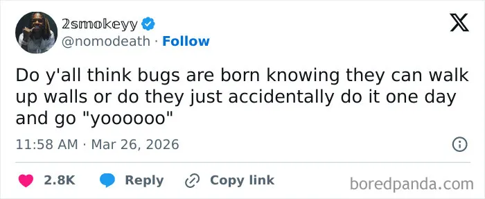 83 Funniest Tweets People Posted This March
