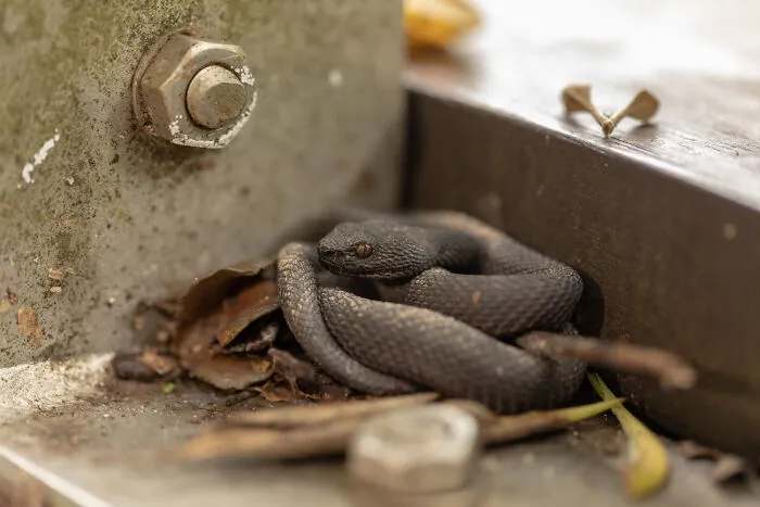 From Filthy Kitchens To Unthinkable Finds, 33 People Share Their Worst House Visits