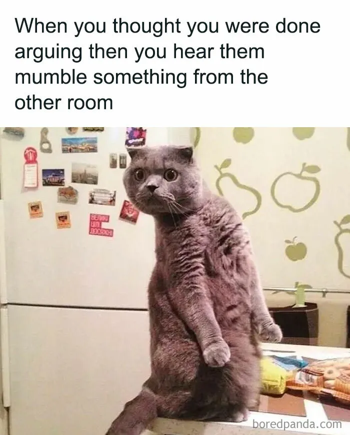 81 Times Cats Were So Ridiculous, Silly, Or Dramatic That They Had To Become Memes