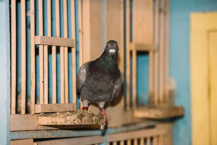 From Filthy Kitchens To Unthinkable Finds, 33 People Share Their Worst House Visits
