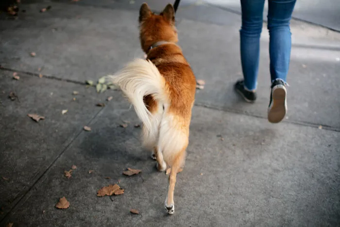 28 Times Folks Encountered Something Unexplainable That Scared The Living Daylight Out Of Them