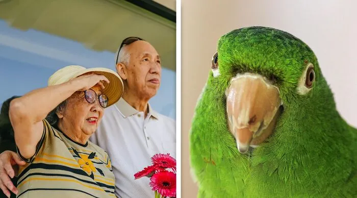 Your grandparents had a pet bird they loved like family. Both grandparents have passed away, and now no one else can take care of it. You don’t like animals and don’t want that responsibility. 