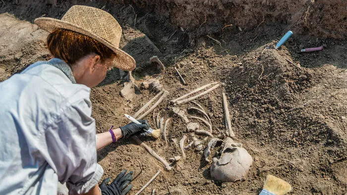 47 Times Archaeologists Dug Up Surprising Finds That Should Have Been Major News