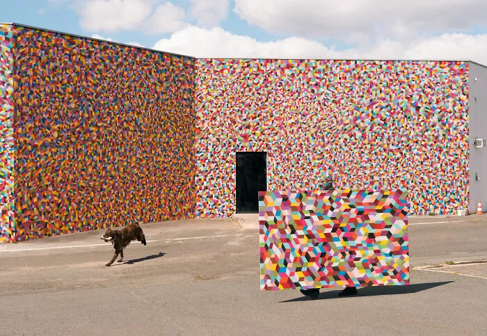 This Photographer Captured 27 Shots Where People Blend Perfectly Into Their Surroundings