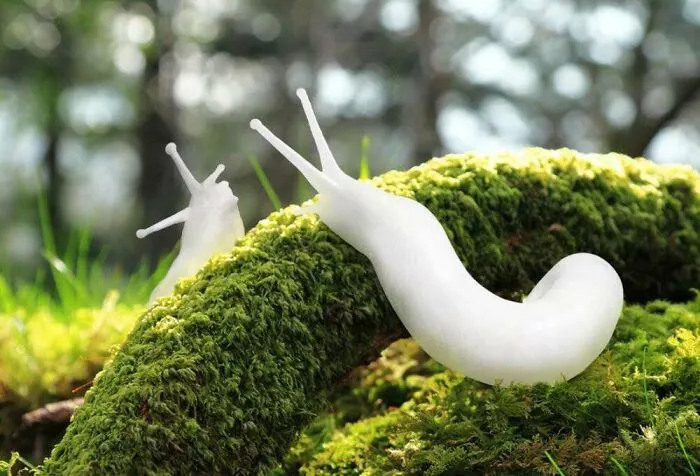 40 Times Nature "Ran Out Of Ink" And Created These Breathtakingly Beautiful Albino Animals
