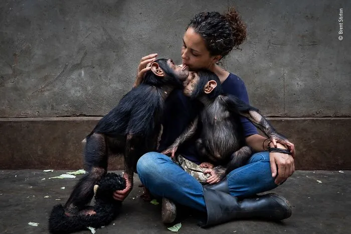25 Fotos impresionantes que triunfaron en el concurso de Fotógrafo de Fauna salvaje del Año
