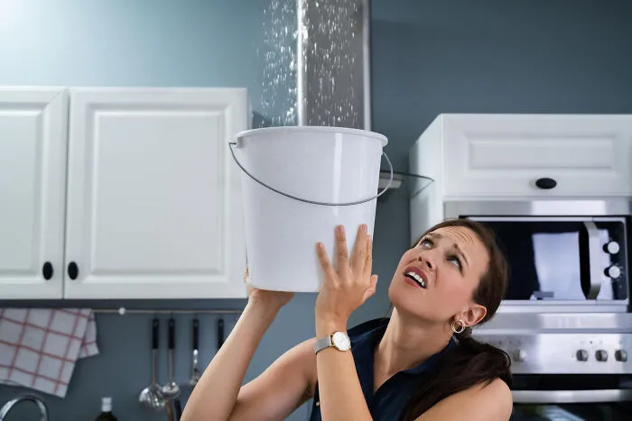 From Filthy Kitchens To Unthinkable Finds, 33 People Share Their Worst House Visits
