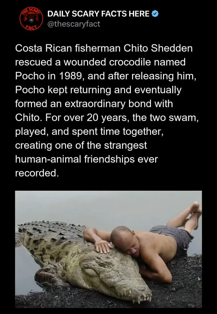 “Something Out Of A Nightmare”: 83 Disturbing Real-Life Facts That Might Haunt Your Mind (New Pics)