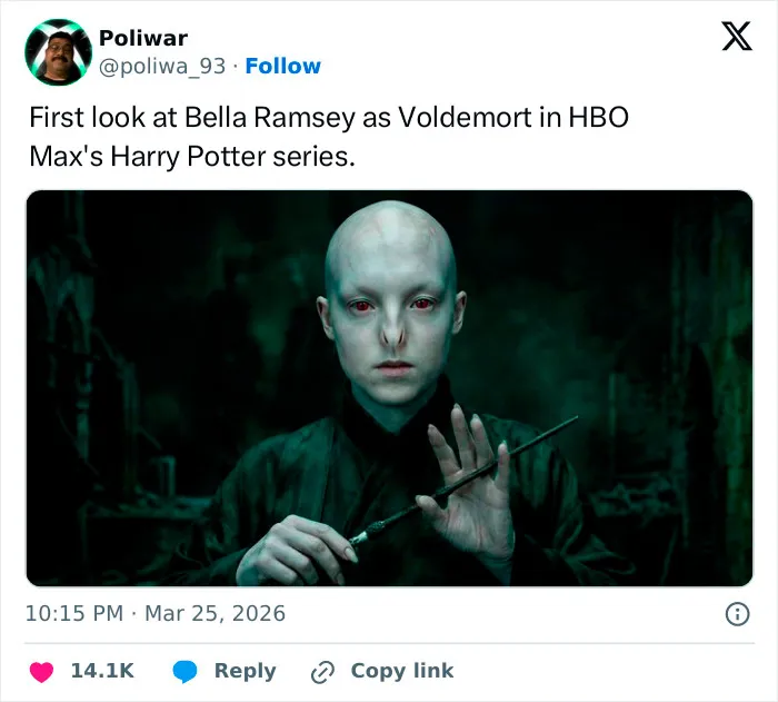 33 Memes That Roast HBO’s ‘Harry Potter’ Series After The Trailer Drop