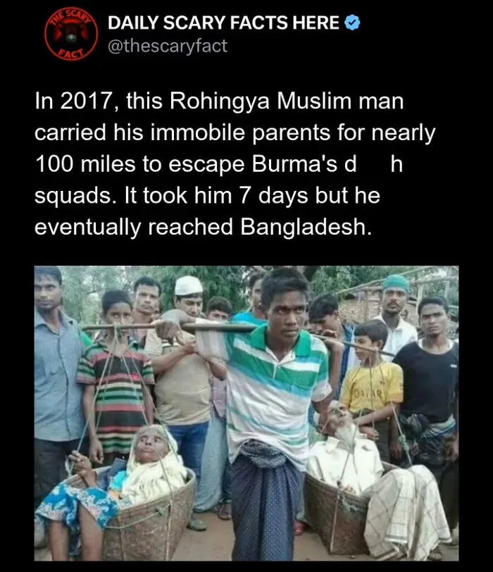 “Something Out Of A Nightmare”: 83 Disturbing Real-Life Facts That Might Haunt Your Mind (New Pics)