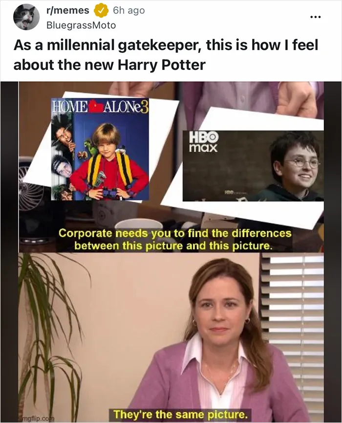 33 Memes That Roast HBO’s ‘Harry Potter’ Series After The Trailer Drop