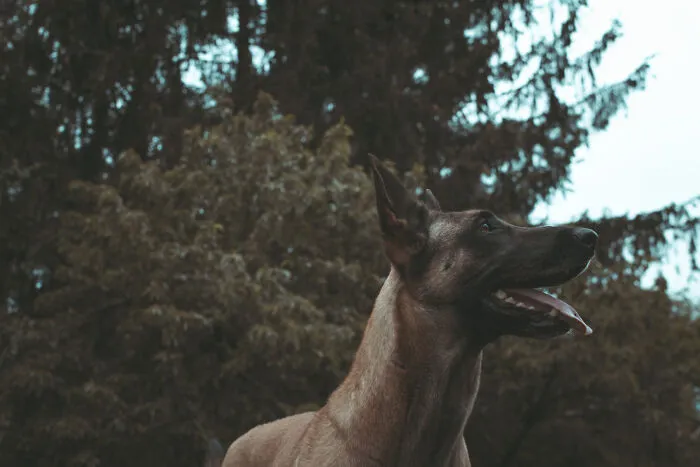 28 Times Folks Encountered Something Unexplainable That Scared The Living Daylight Out Of Them
