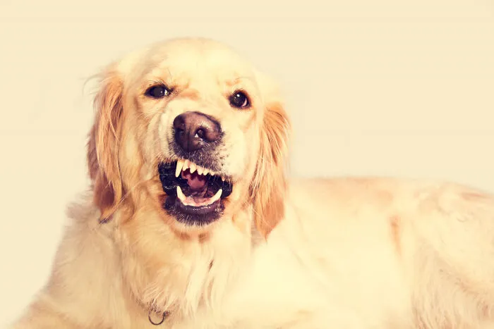 These 36 Folks Reveal The Most Abnormal Experiences That Left Them Shaking In Fear