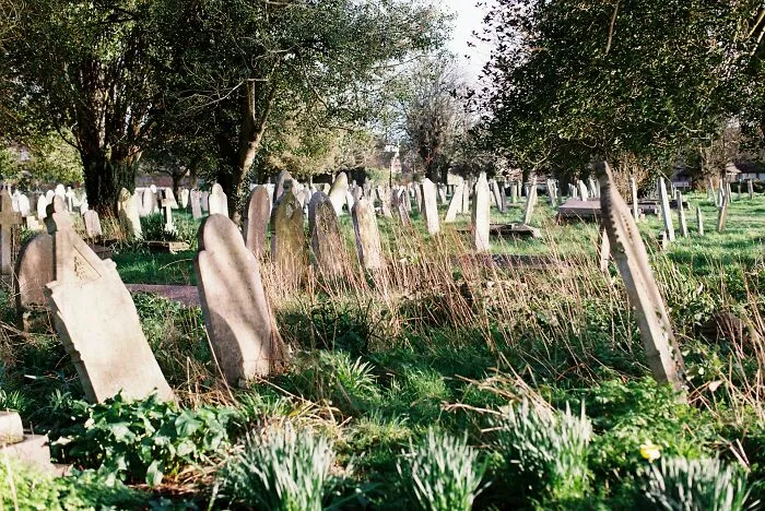 Old gravestones scattered in an overgrown cemetery surrounded by trees, evoking spine-chilling haunted place vibes.